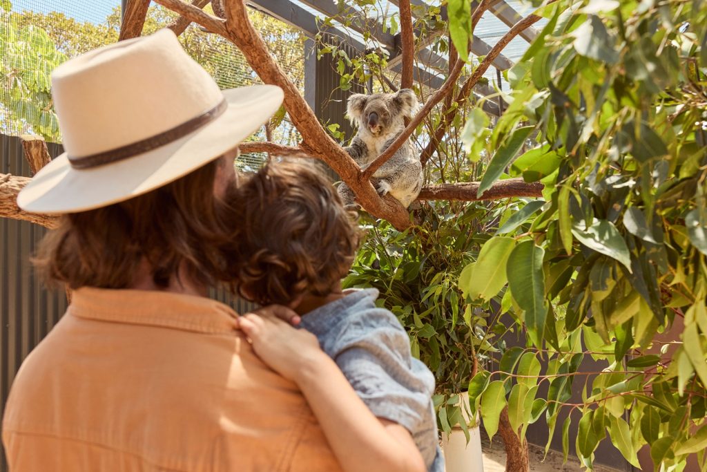 Family enjoying a koala encounter at Taronga Zoo, Mosman in Sydney