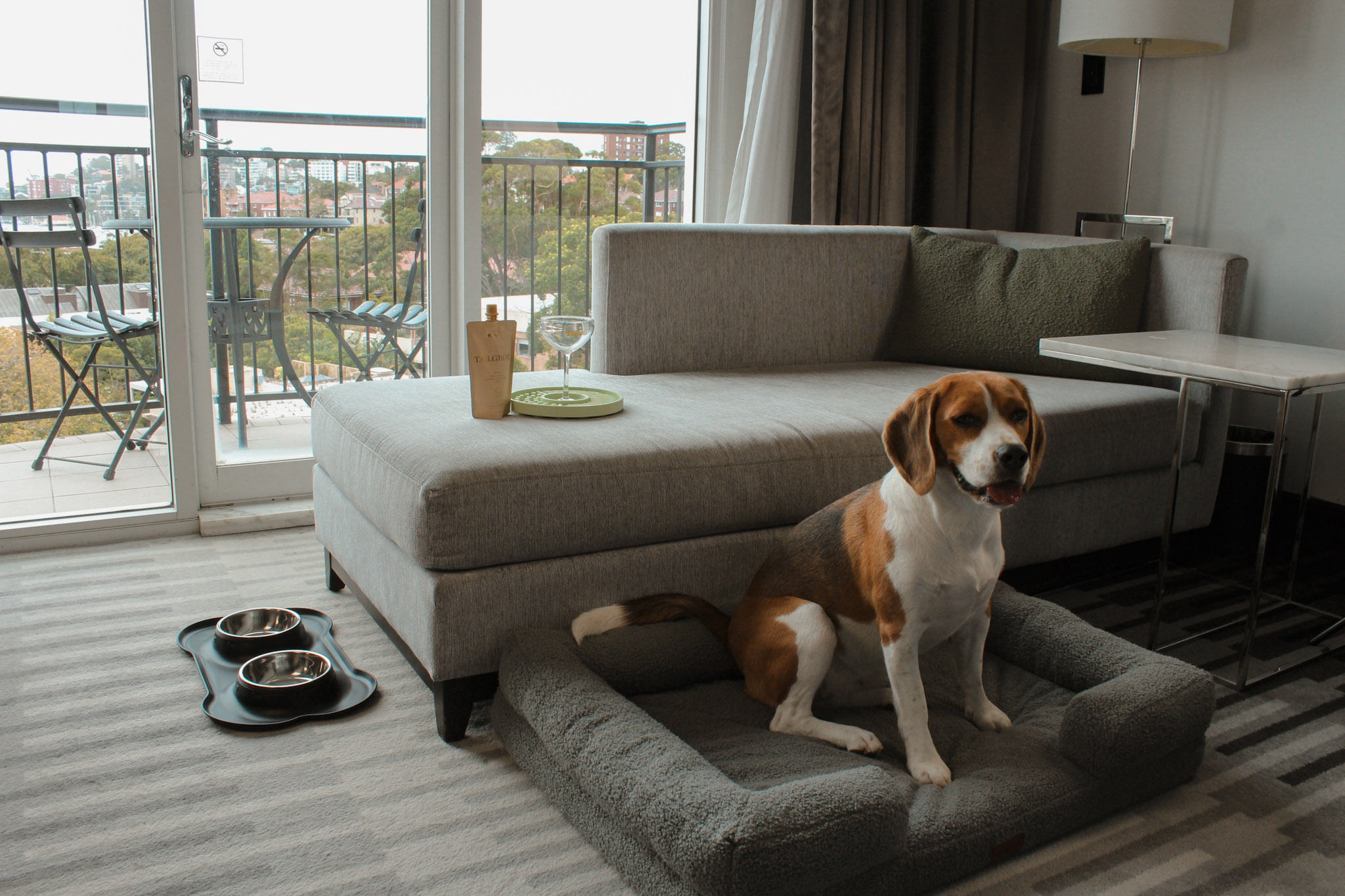 Dog Friendly Rooms